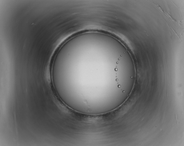 X0000112140887200908071053