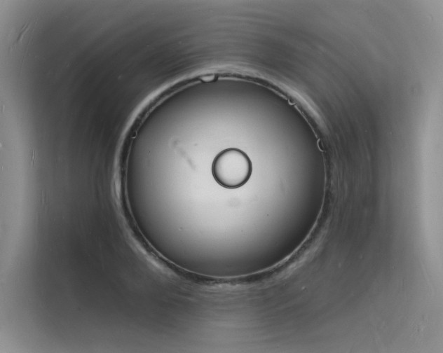 X0000112140888200908071053