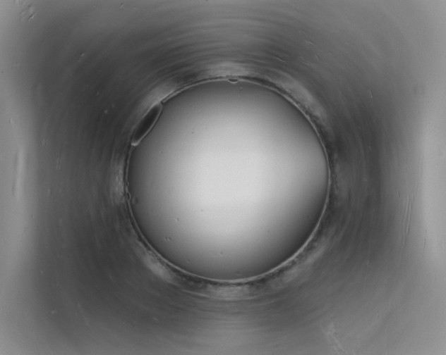X0000112140889200908071053