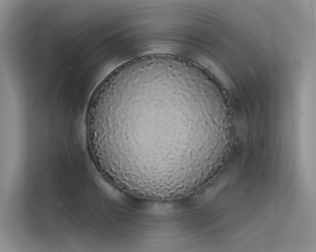 X0000112140890200908071053