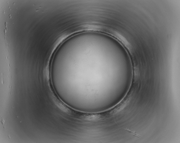 X0000112140891200908071053
