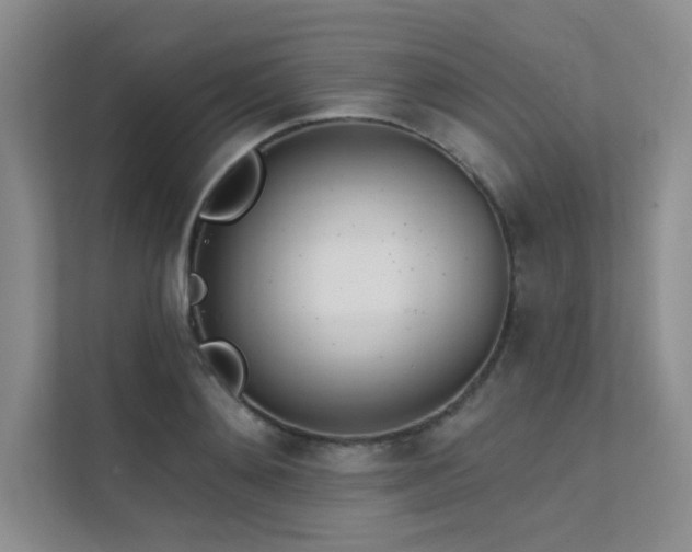 X0000112140892200908071053