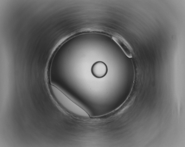 X0000112140893200908071053