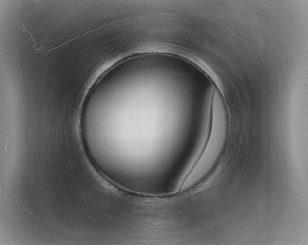 X0000112140901200908071053
