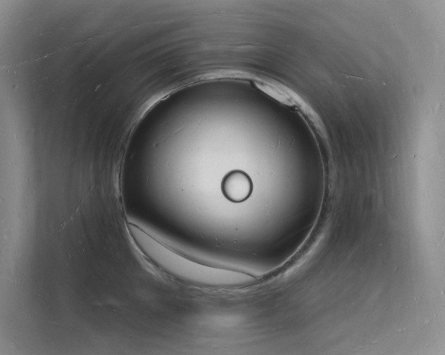 X0000112140905200908071053