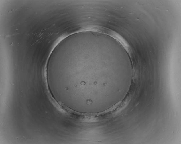 X0000112140907200908071053