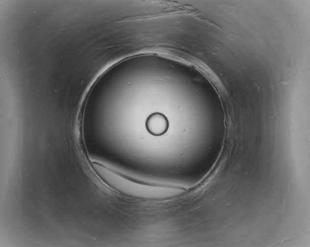 X0000112140908200908071053
