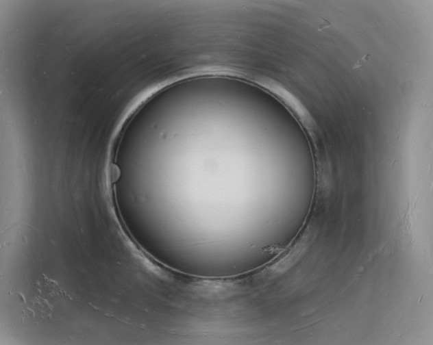 X0000112140910200908071053