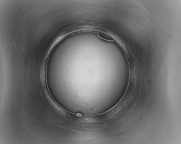 X0000112140911200908071053