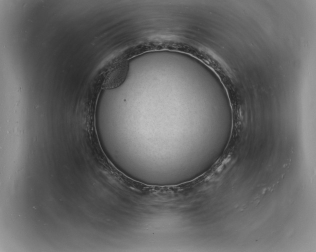 X0000112140919200908071053