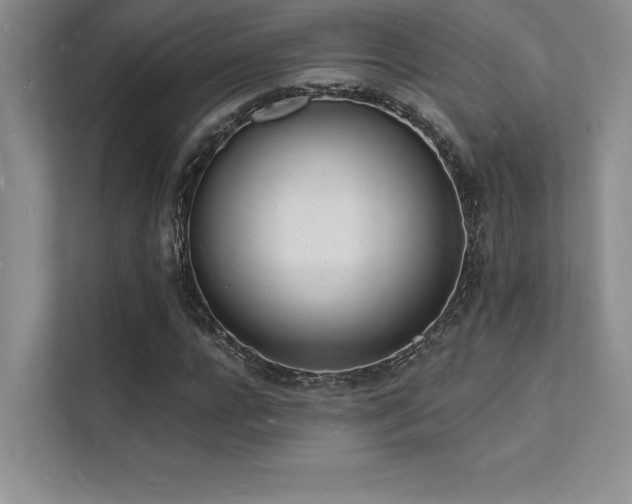 X0000112140920200908071053