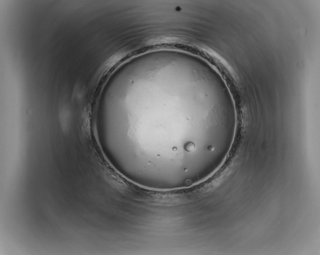 X0000112140921200908071053