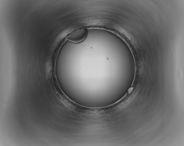 X0000112140922200908071053