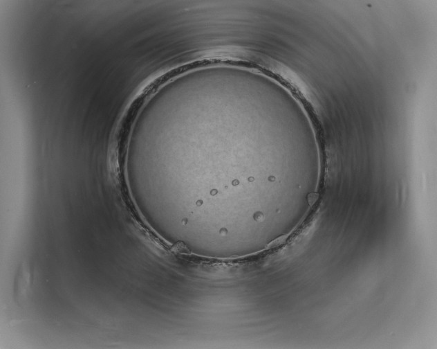 X0000112140923200908071053