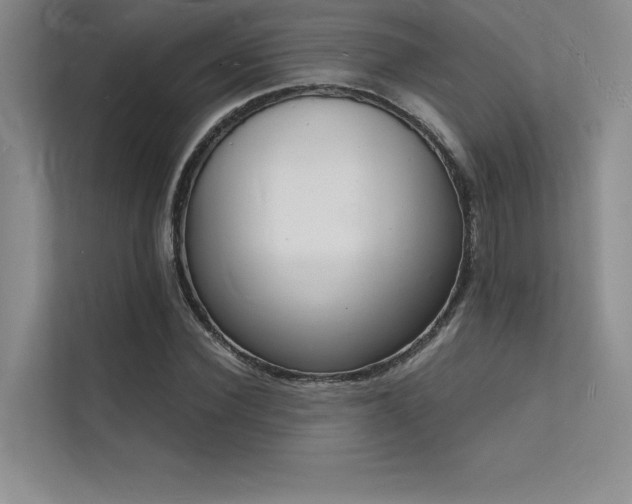 X0000112140924200908071053