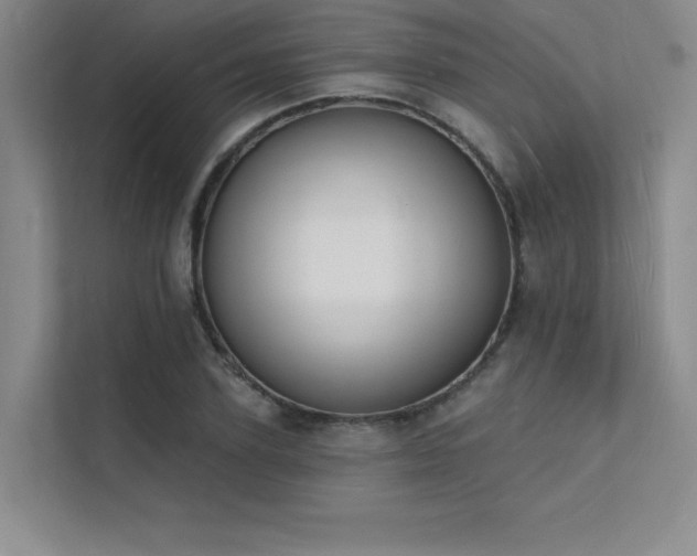 X0000112140931200908071053