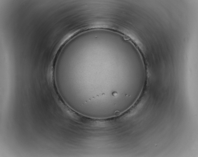 X0000112140933200908071053