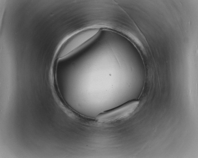 X0000112140936200908071053