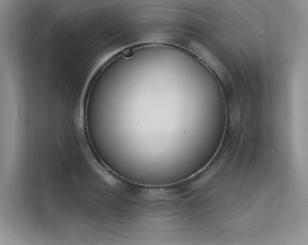 X0000112140940200908071053
