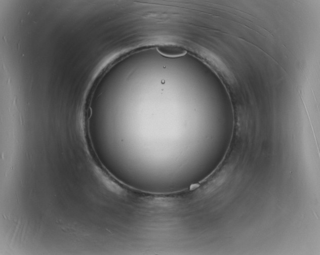 X0000112140942200908071053