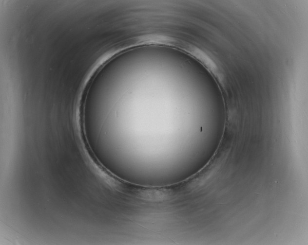 X0000112140947200908071053