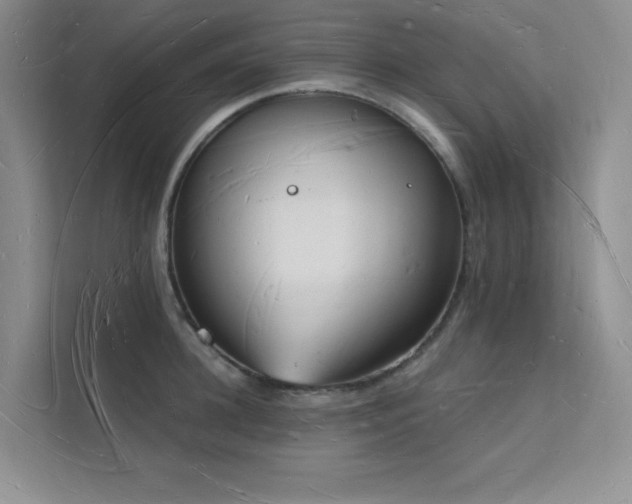 X0000112140948200908071053
