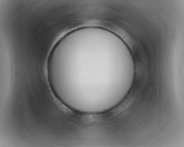 X0000112140950200908071053