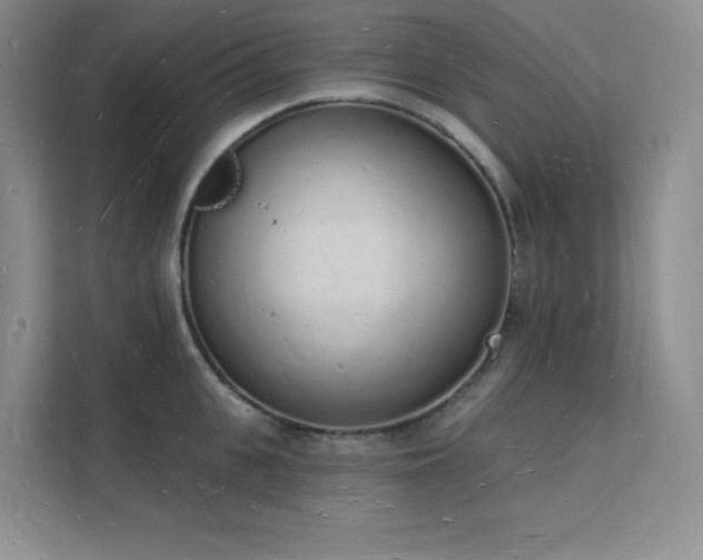 X0000112140951200908071053