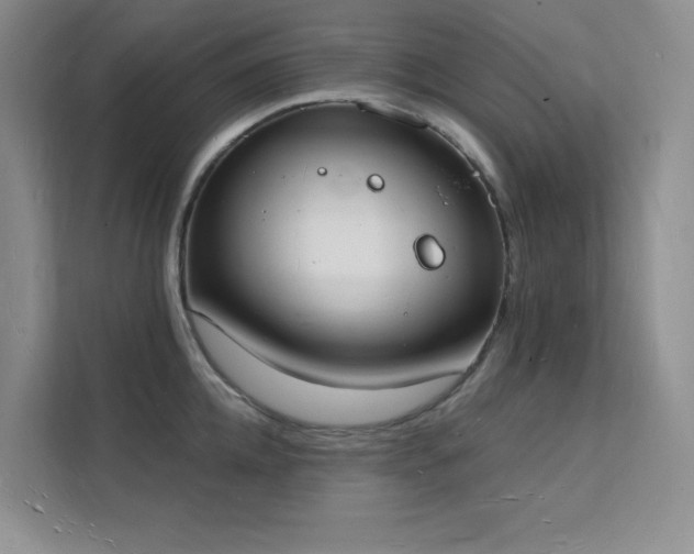 X0000112140952200908071053