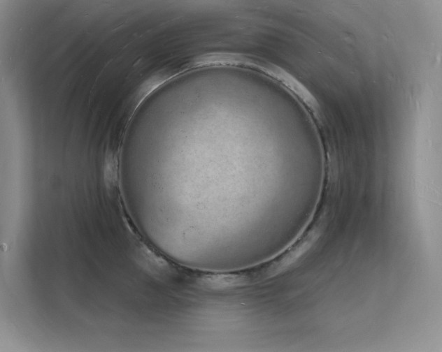 X0000112140953200908071053