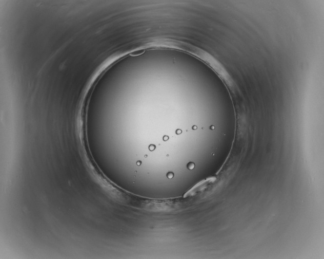 X0000112140955200908071053