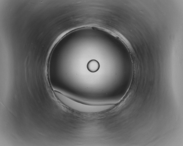X0000112140956200908071053