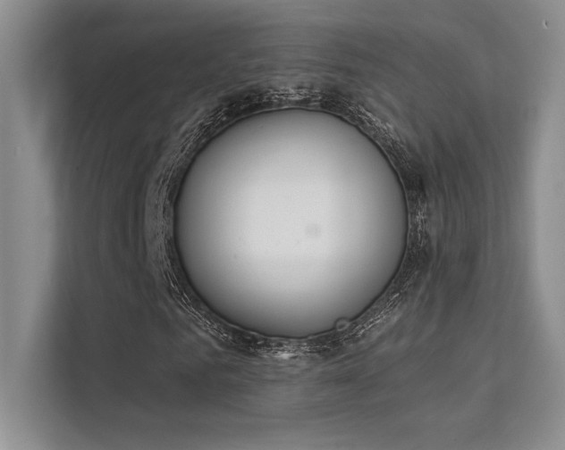 X0000112140961200908071052