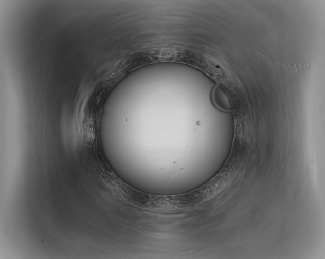 X0000112140962200908071052