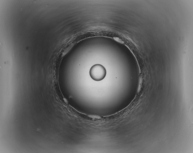X0000112140965200908071052