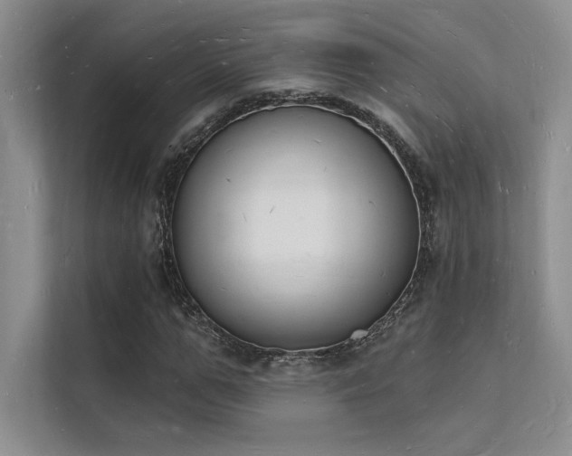 X0000112140967200908071052