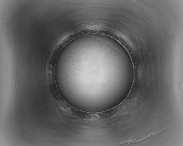 X0000112140968200908071052