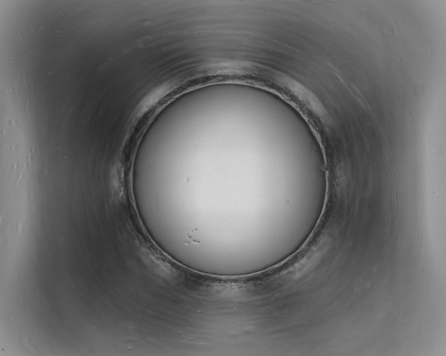 X0000112140970200908071052