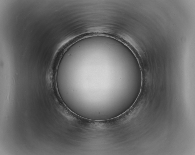 X0000112140971200908071052