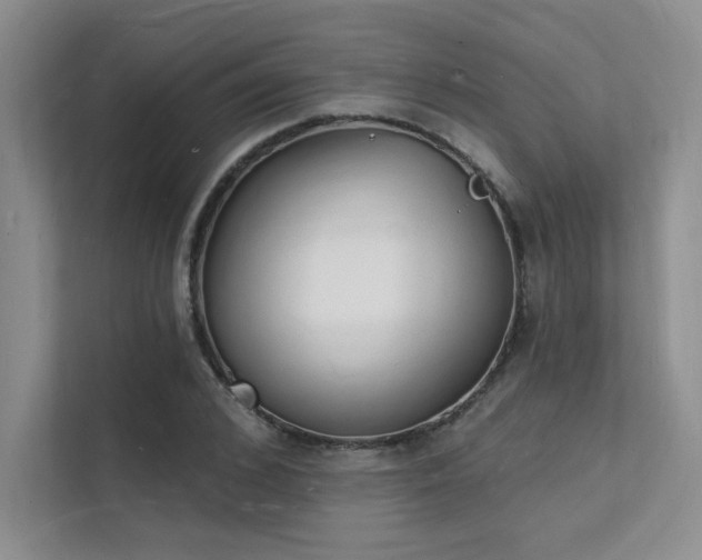 X0000112140976200908071052