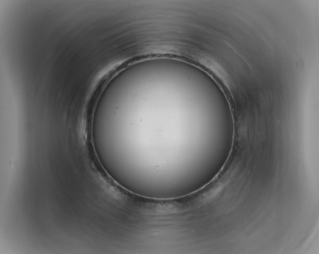 X0000112140979200908071052