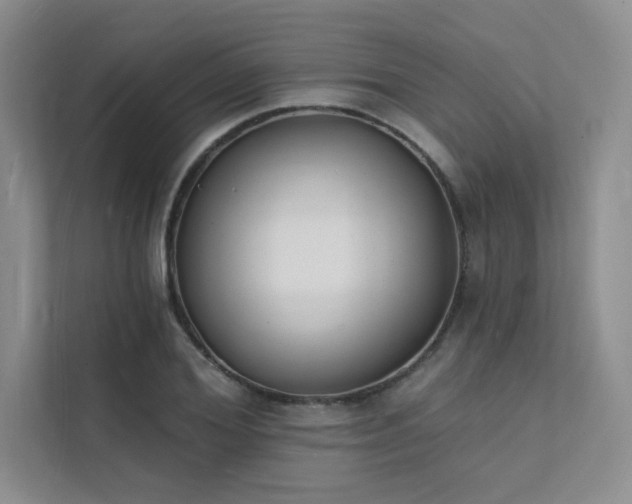 X0000112140980200908071052