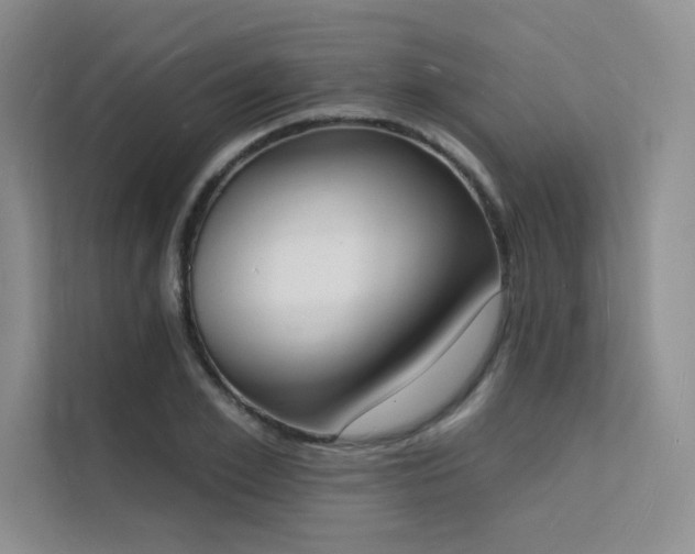 X0000112140981200908071052