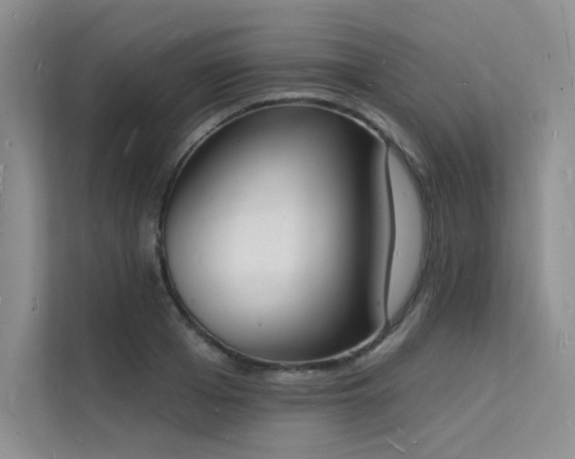 X0000112140985200908071052