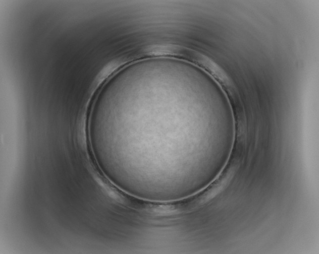 X0000112140986200908071052