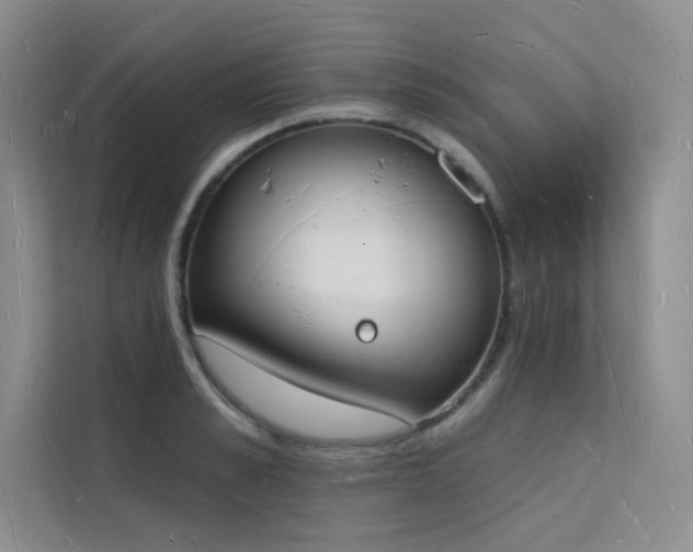 X0000112140989200908071052