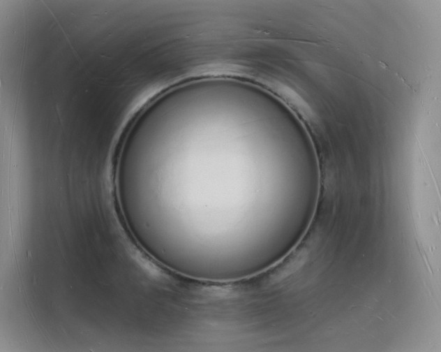 X0000112140990200908071052