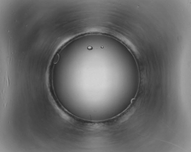 X0000112140991200908071052