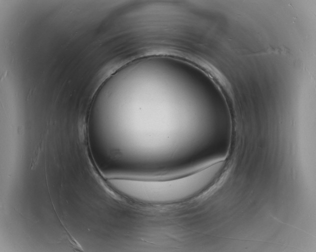 X0000112140993200908071052