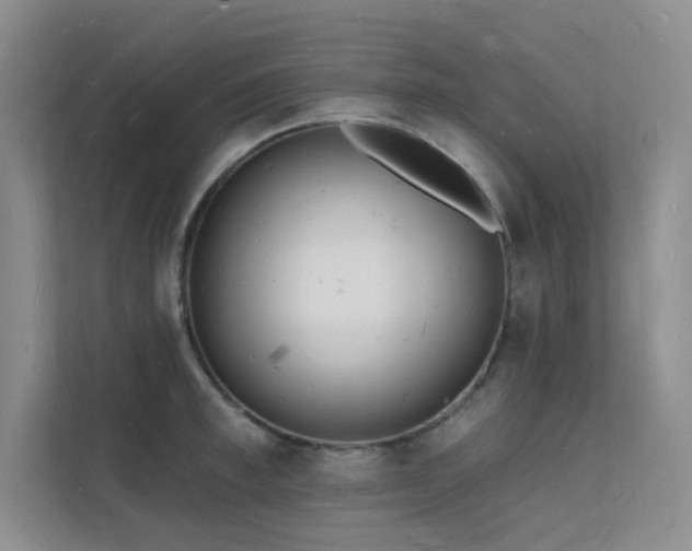 X0000112140997200908071052